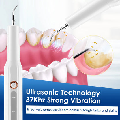 Ultrasonic Dental Scaler
